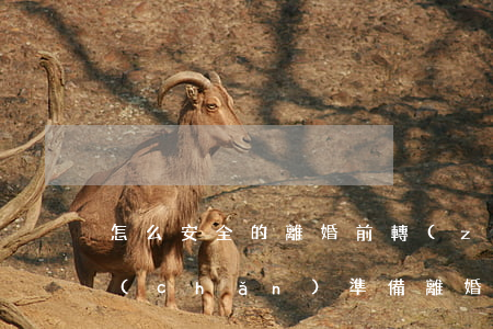 怎么安全的離婚前轉(zhuǎn)移財產(chǎn)(準備離婚怎樣防止對方轉(zhuǎn)移財產(chǎn))