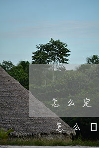 怎么定義公積金貸款逾期(公積金還貸逾期該怎么辦)
