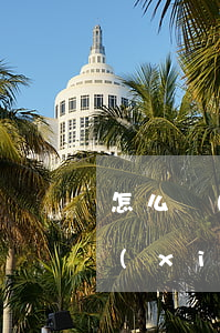 怎么寫(xiě)借條正確圖片(借條怎么寫(xiě)范本圖片 正規(guī) 法律效力)