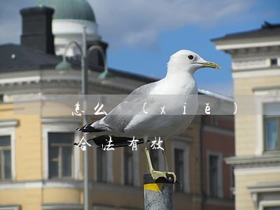 怎么寫(xiě)遺囑才有效(如何立遺囑才合法有效)