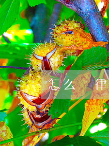 怎么寫律師函 不退錢(怎么寫律師函 不退錢)