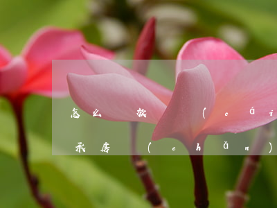 怎么寫放棄財(cái)產(chǎn)繼承(房產(chǎn)繼承放棄書怎么寫)