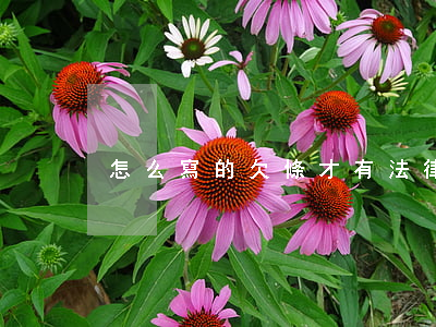 怎么寫的欠條才有法律效力