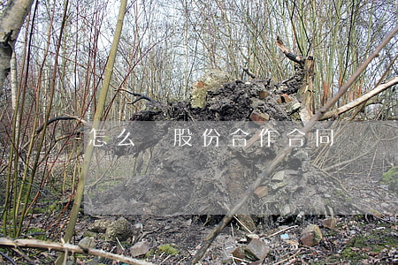 怎么寫股份合作合同