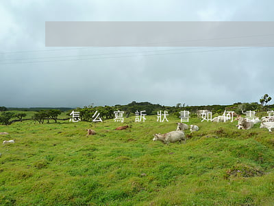 怎么寫訴狀書(如何書寫起訴書)