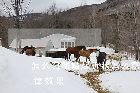 怎么寫離婚起訴狀(怎么寫離婚起訴狀更有法律效果)