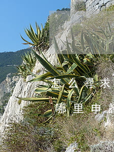 怎么尋求免費的法律援助(免費的法律援助在哪里申請)