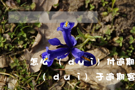 怎么對(duì)付逾期的問(wèn)題(對(duì)于逾期客戶怎么處理)