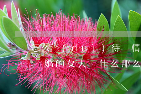 怎么對(duì)待絕情想要離婚的女人(要離婚的女人為什么那么絕情)