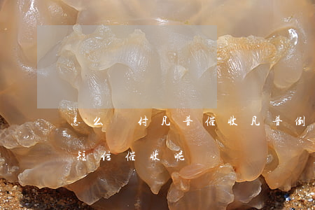 怎么對付凡普催收(凡普倒閉了,為什么總是有短信催收呢?)