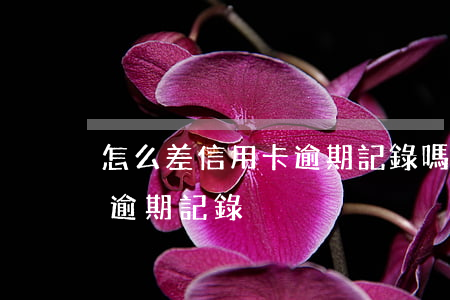 怎么差信用卡逾期記錄嗎 怎么可以查信用卡逾期記錄?