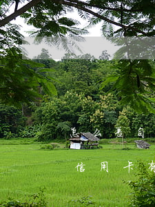 怎么差自己的信用卡逾期-怎样知道自己的信用卡有没有逾期