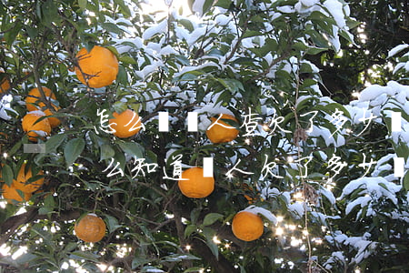 怎么幫別人查欠了多少網(wǎng)貸(怎么知道別人欠了多少網(wǎng)貸)