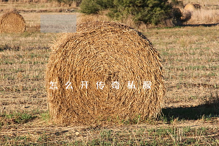 怎么开传奇私服