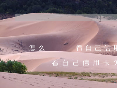 怎么從賬單看自己信用卡欠多少錢-怎么從賬單看自己信用卡欠多少錢了