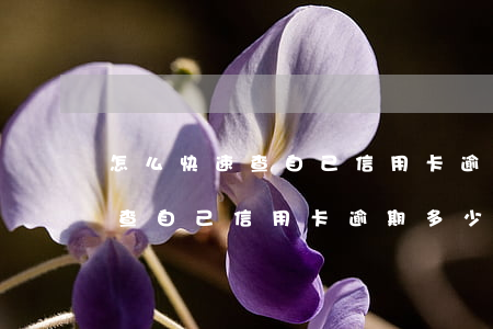 怎么快速查自己信用卡逾期多少天(怎么快速查自己信用卡逾期多少天了)