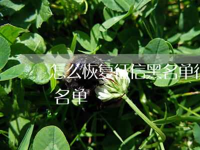 怎么恢复征信黑名单(征信黑名单怎么解除黑名单)