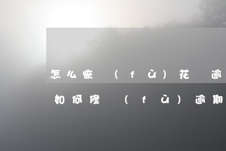 怎么恢復(fù)花唄逾期信用(支付寶花唄如何修復(fù)逾期)