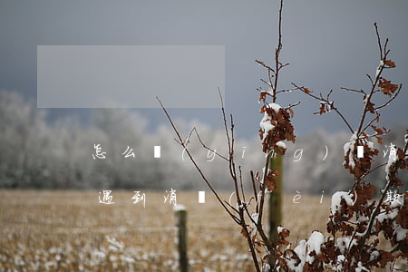 怎么應(yīng)訴消費(fèi)欺詐(遇到消費(fèi)欺詐怎么辦)
