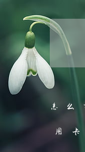 怎么才知道信用卡有没有逾期(怎么才知道信用卡有没有逾期记录)
