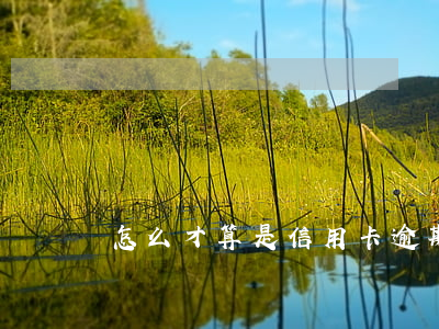 怎么才算是信用卡逾期(信用卡逾期怎么辦)