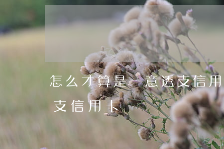 怎么才算是惡意透支信用卡(怎樣屬于惡意透支信用卡)