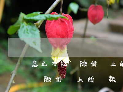 怎么才能刪除借唄上的還款記錄-怎么才能刪除借唄上的還款記錄呢