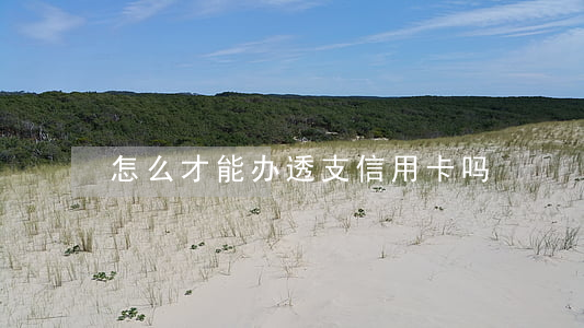 怎么才能办透支信用卡吗