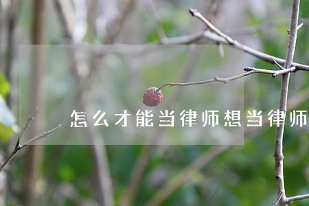怎么才能当律师(想当律师应该怎么做)