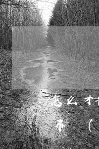 怎么才能找到靠譜的律師(怎么找靠譜的律師事務(wù)所)