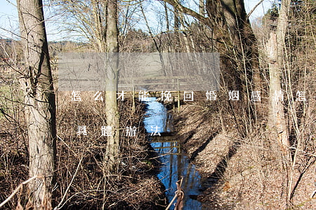 怎么才能挽回婚姻感情(怎樣挽回婚姻感情的具體辦法)