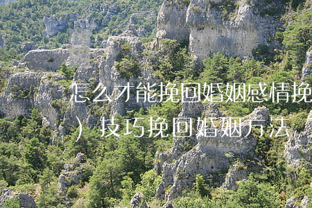 怎么才能挽回婚姻感情(挽回婚姻六個(gè)技巧 挽回婚姻方法)