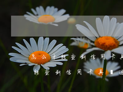 怎么才能查到信用卡具體逾期時間-怎么才能查到信用卡具體逾期時間呢