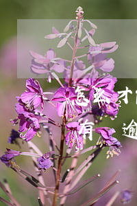 怎么才能查到信用卡逾期欠款(怎么查信用卡有沒逾期)