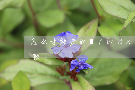 怎么才能查到網(wǎng)貸平臺欠不欠款-