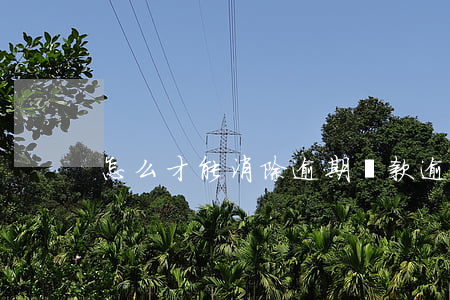 怎么才能消除逾期還款(逾期還款如何補救)