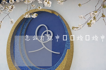 怎么才能申訴離婚(離婚申訴怎么弄)