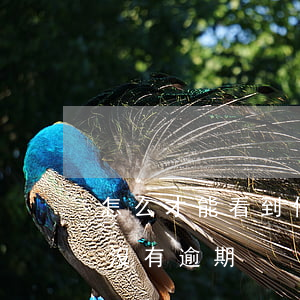 怎么才能看到信用卡逾期(如何知道信用卡有沒有逾期)