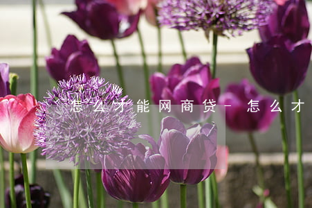 怎么才能网商贷-怎么才能网商贷有额度