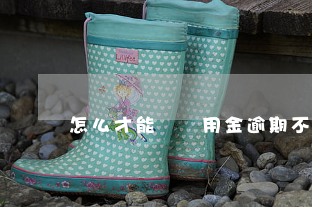 怎么才能讓備用金逾期不秒扣啊-