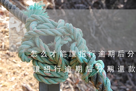 怎么才能讓招行逾期后分期還款-怎么才能讓招行逾期后分期還款成功