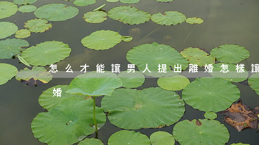 怎么才能讓男人提出離婚(怎樣讓一個男人離婚)