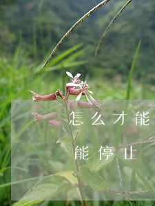 怎么才能讓逾期信用卡停息(信用卡逾期怎么能停止計(jì)息)