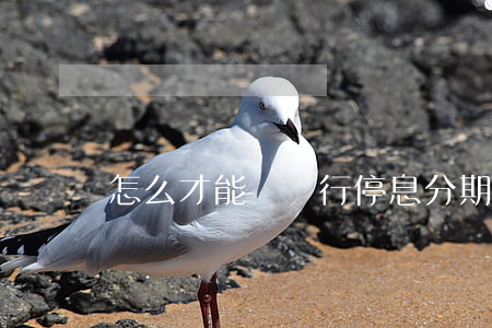 怎么才能讓銀行停息分期(如何停息分期)