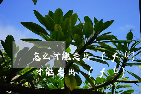 怎么才能走出負(fù)債的痛苦呢-怎么才能走出負(fù)債的痛苦呢圖片