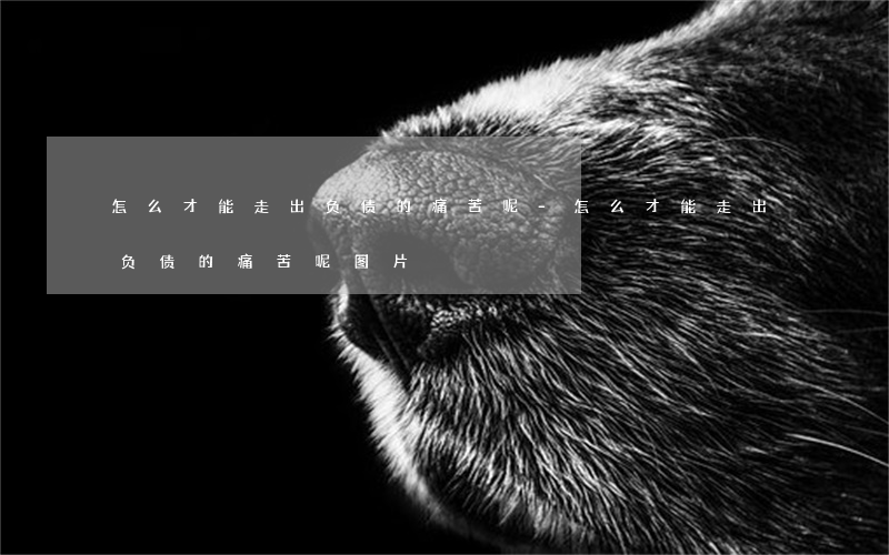 怎么才能走出负债的痛苦呢-怎么才能走出负债的痛苦呢图片