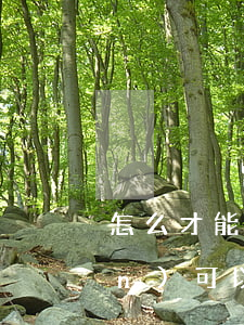 怎么才能防止后媽繼承(后媽的遺產(chǎn)可以繼承嗎)