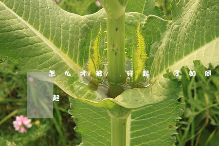 怎么才被銀行起訴了(如何知道有沒有被銀行起訴)