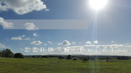 怎么打印離婚協(xié)議書