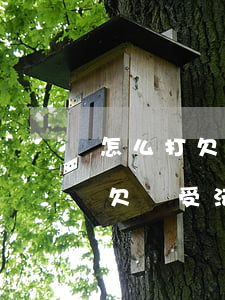 怎么打欠條受法律保護(現(xiàn)在打欠條受法律保護嗎)